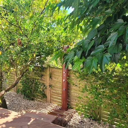 Agreable Climatisee Avec Piscine, 12 Personnes Semesterbostad Arcachon