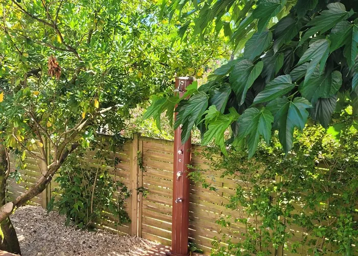 Avec Piscine, 12 Personnes Сasa de vacaciones Arcachón